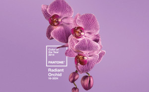 Radiant-Orchid-colore-2014-matrimonio1